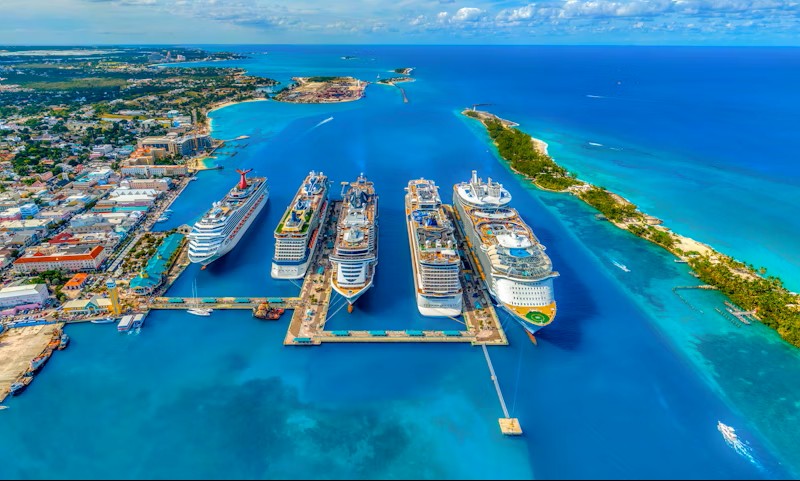 The Cruise Experience
